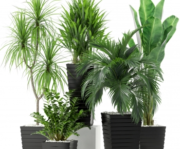 Modern Potted Green Plant-ID:813344965