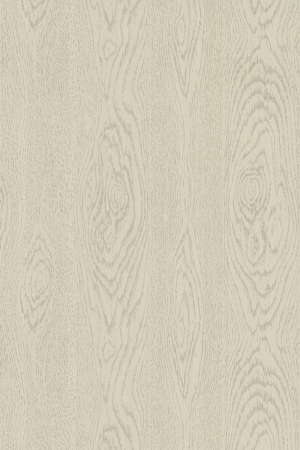 ModernWood Texture