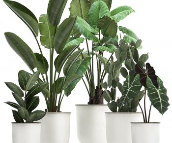 Modern Potted Green Plant-ID:779516943