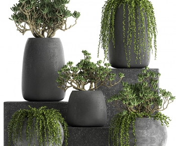 Modern Potted Green Plant-ID:609240065