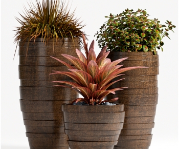 Modern Potted Green Plant-ID:252156974