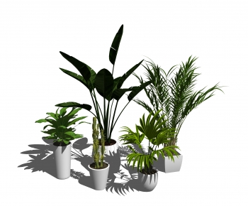 Modern Potted Green Plant-ID:850048077