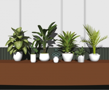 Modern Potted Green Plant-ID:322098022