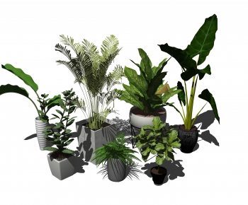 Modern Potted Green Plant-ID:487313997