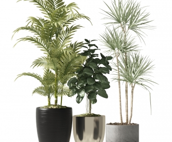 Modern Potted Green Plant-ID:952039009