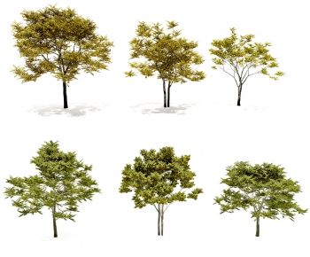 Modern Tree-ID:190963033
