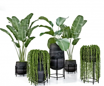 Modern Potted Green Plant-ID:459749942