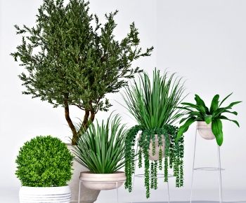 Modern Potted Green Plant-ID:649620064