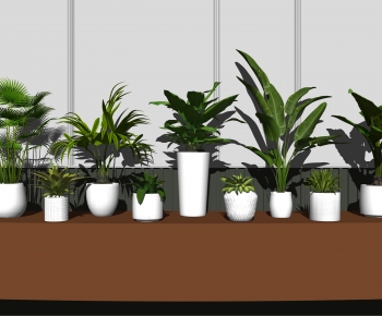 Modern Potted Green Plant-ID:266906981