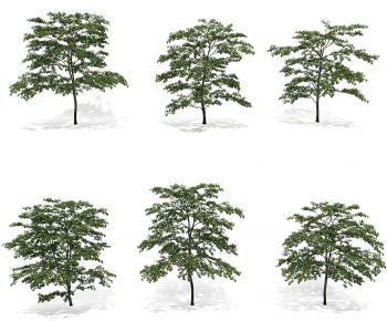 Modern Tree-ID:659842012