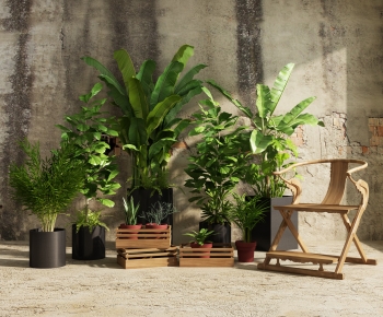 Modern Potted Green Plant-ID:552839043