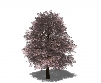 Modern Tree-ID:238729007