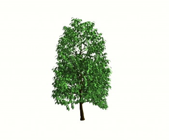 Modern Tree-ID:827488906