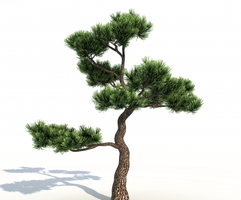 New Chinese Style Tree-ID:875996117