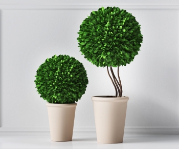Modern Potted Green Plant-ID:634457115