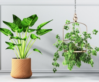 Modern Potted Green Plant-ID:445400954