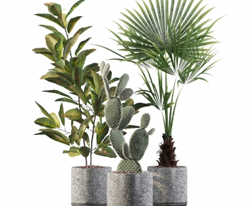 Modern Potted Green Plant-ID:618835938