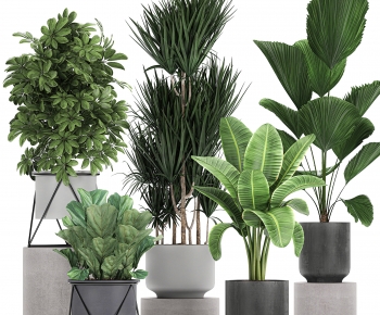 Modern Potted Green Plant-ID:938112975