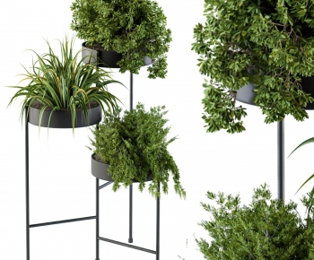 Modern Potted Green Plant-ID:755429039