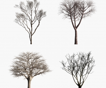 Modern Tree-ID:132913116