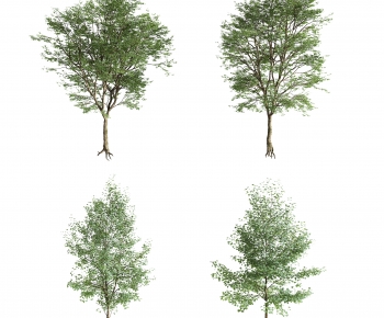 Modern Tree-ID:496403938