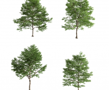 Modern Tree-ID:708605052