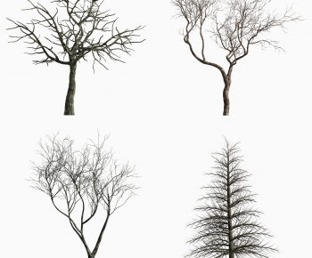 Modern Tree-ID:184010986