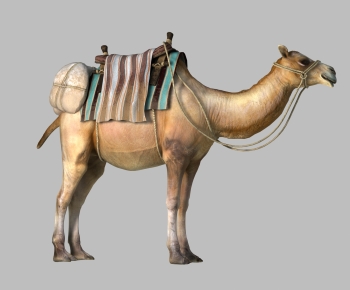 现代动物骆驼-ID:958373076