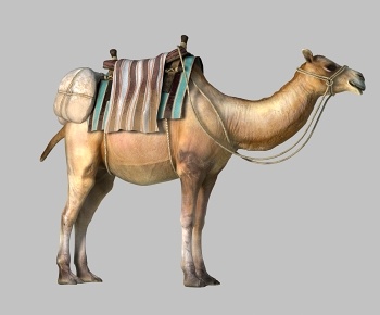 现代动物骆驼-ID:1223668