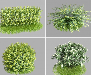 Modern Shrubbery-ID:103754042