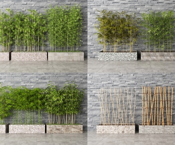 Modern Bamboo-ID:948326113
