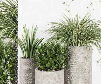 Modern Potted Green Plant-ID:118530994