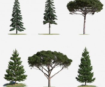 Modern Tree-ID:499200118