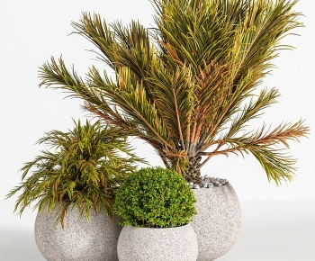 Modern Potted Green Plant-ID:350461021