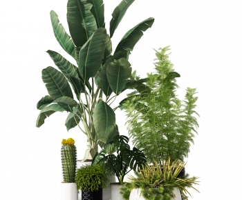 Modern Potted Green Plant-ID:807082893