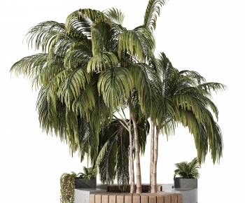 现代椰子树池 公共座椅-模型ID【1233594】
