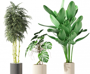 Modern Potted Green Plant-ID:830486063