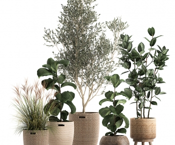 Modern Potted Green Plant-ID:690999042