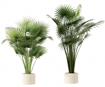 Modern Potted Green Plant-ID:402864935