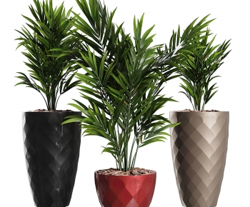Modern Potted Green Plant-ID:439560484