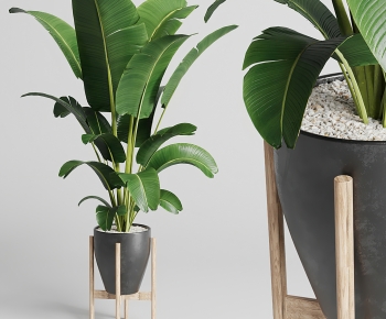 Modern Potted Green Plant-ID:347359908