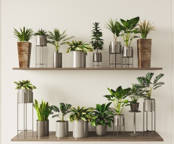 Modern Potted Green Plant-ID:792102107