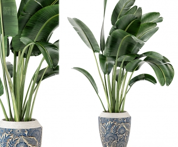 Modern Potted Green Plant-ID:786956073