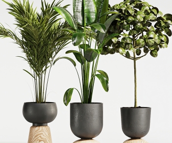 Modern Potted Green Plant-ID:490495927