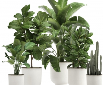 Modern Potted Green Plant-ID:749286892