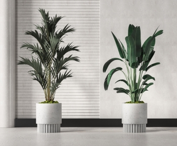 Modern Potted Green Plant-ID:153105974