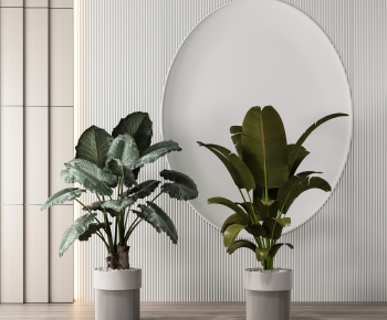 Modern Potted Green Plant-ID:539452082