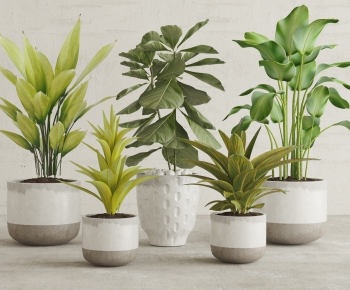 Modern Potted Green Plant-ID:345237972