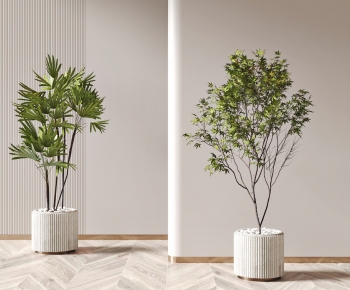 Modern Potted Green Plant-ID:632163055