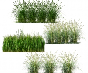 Modern The Grass-ID:750288015